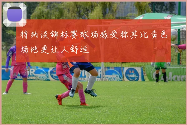 特纳谈锦标赛球场感受称其比黄色场地更让人舒适