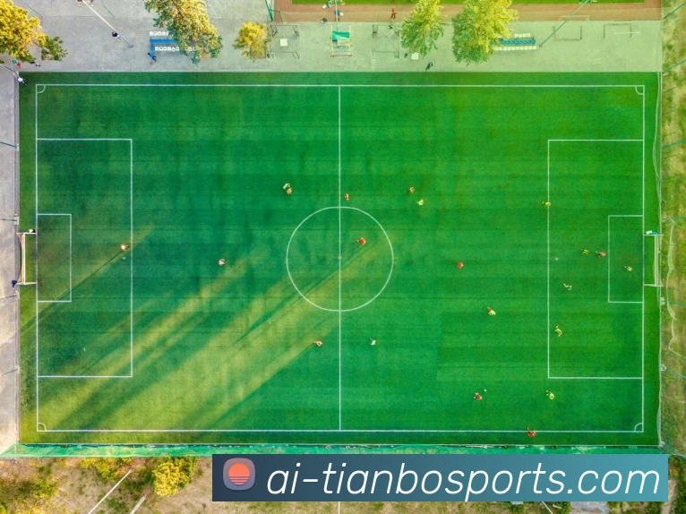 天博体育平台生态图